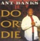 Do or Die - Ant Banks lyrics