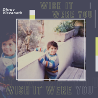 Dhruv Visvanath - Wish It Were You - Single artwork