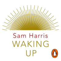 Sam Harris - Waking Up artwork