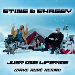 Just One Lifetime (Dave Audé Remix) - Single by Sting, Shaggy & Dave Audé album reviews, ratings, credits