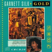 Garnett Silk - Zion in a Vision