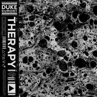 Therapy by Duke Dumont song reviws