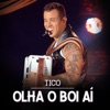 Olha o Boi Aí (Ao Vivo) - Single