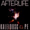 AfterLife (Instrumental Version) - Single