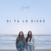 Si Tú Lo Dices - Single