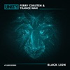 Black Lion - Single