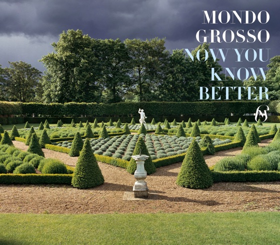 Cover artwork for Now You Know Better