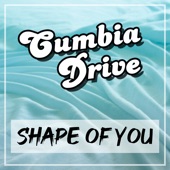 Shape Of You (Remix) artwork