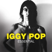 Iggy Pop - Shakin' All Over