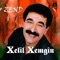 Bırindar Im - Xelil Xemgin lyrics