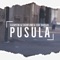 Pusula artwork