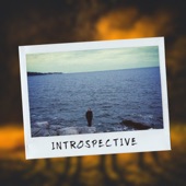 Introspective - EP artwork