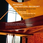 Beethoven und der Flügel der Zukunft (Mathias Weber am Paulello-Flügel, Op. 112) artwork