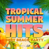 TROPICAL SUMMER HITS -BEST BEACH PARTY- mixed by DJ Mery (DJ MIX) artwork