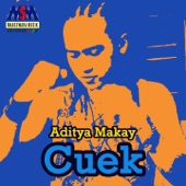 Cuek artwork