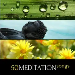 50 Meditation Songs - Oriental Tibetan Buddhist Meditation Music Collection for Asian Meditation and Body Mind Relaxation by Essence Reliford album reviews, ratings, credits