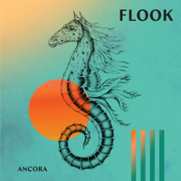 Flook - Ancora artwork