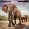 Elephant (feat. Yvngxchris) - luhjay2oolie lyrics