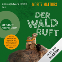 Moritz Matthies - Der Wald ruft: Ray und Rufus 6 artwork