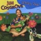 Rachel's Garden - Jim Cosgrove lyrics