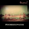 Noordzeewater - Single