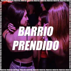 Barrio Prendido (feat. Marka Akme & Momó) [Remix] Song Lyrics