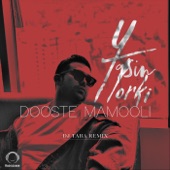 Dooste Mamooli (DJ Taba Remix) artwork