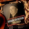 Вадим Васильев - Граница