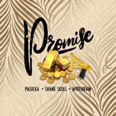 Promise (feat. Shane Skull & Wire Brain) artwork