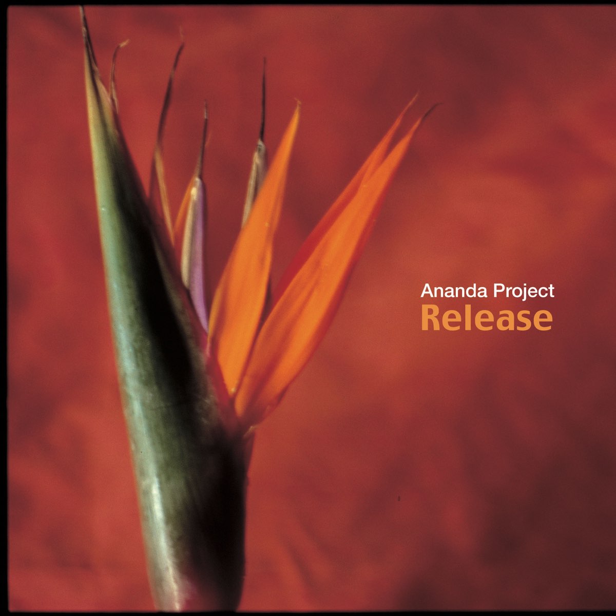 Project release. Ananda Project. Ananda Project — Falling for you. Ananda Groove.