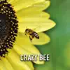 Crazy Bee song lyrics