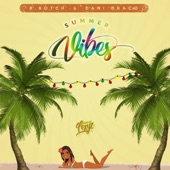 Summer Vibes artwork