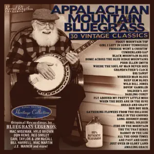 last ned album Various - Appalachian Mountain Bluegrass 30 Vintage Classics