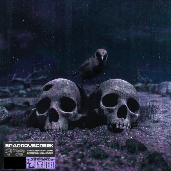 Cover artwork for C4