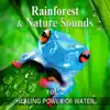 Rainforest & Nature Sounds, Vol. 2: 50 Healing Power of Water (Rain, River, Ocean and Sea) Music for Sleep and Relaxation, Free Your Mind & Relax Better, Deep Waves Meditation album lyrics, reviews, download