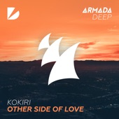Other Side of Love (Extended Mix) artwork