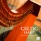 Calm - Celtic Harp Soundscapes lyrics