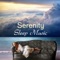 Relax and Harmony with Rain Sound - Sleep Music Sound lyrics