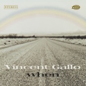 Vincent Gallo - Was