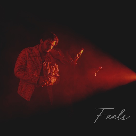 Cover artwork for Feels