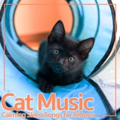 Cat Music: Calming Sleep Songs for Kittens artwork