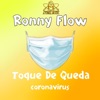 Ronny Flow - Toque de Queda Coronavirus