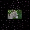 Recko Mamba - Youre My Heart Youre My Soul