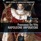 Breve storia di Napoleone Bonaparte vol. 3: Napoleone Imperatore - Francesco De Vito