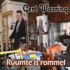 Ruumte Is Rommel - Single