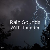 !!" Rain Sounds with Thunder "!! artwork
