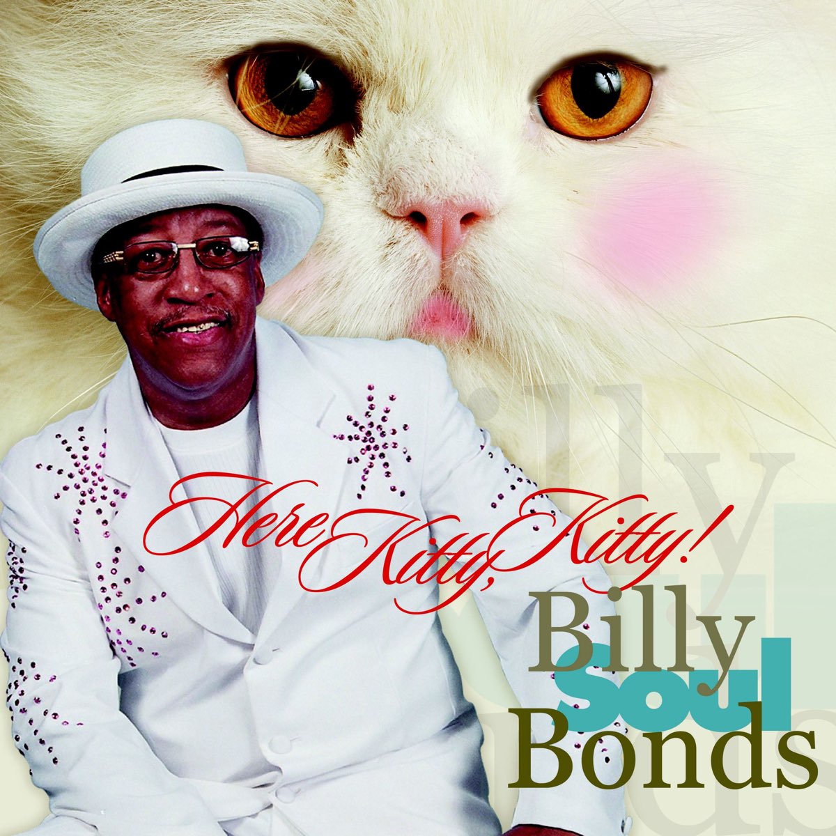 here-kitty-kitty-by-billy-soul-bonds-on-apple-music