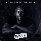 Nnete Fela (feat. Mogomotsi Chosen) artwork