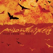 Tear From the Red artwork
