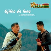 Ojitos de Luna (feat. Elmer Hermosa) artwork